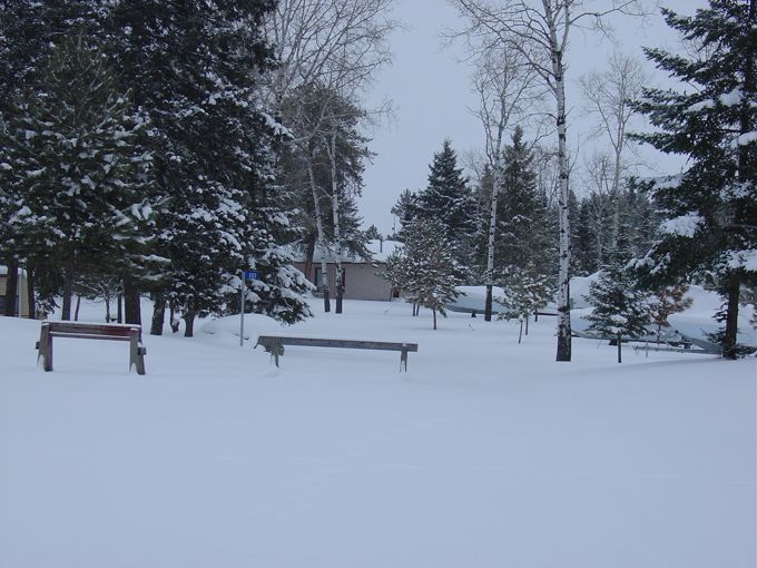 Quiet in the park